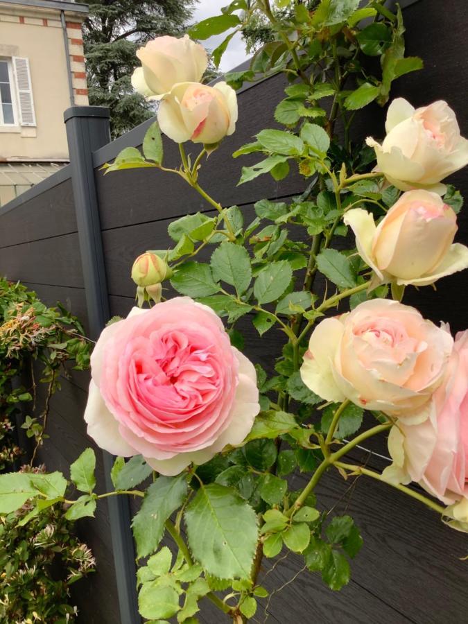 La Renardiere Bourges Exterior foto